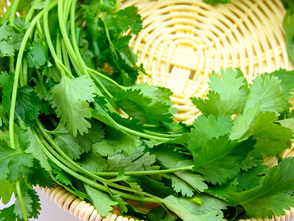 香菜的妙用
