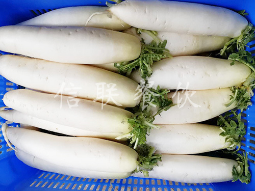 白蘿卜